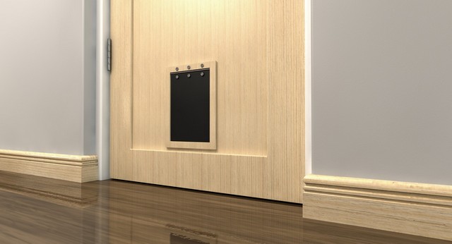 Cat Flap Installation Barnet, High Barnet, Arkley, EN5