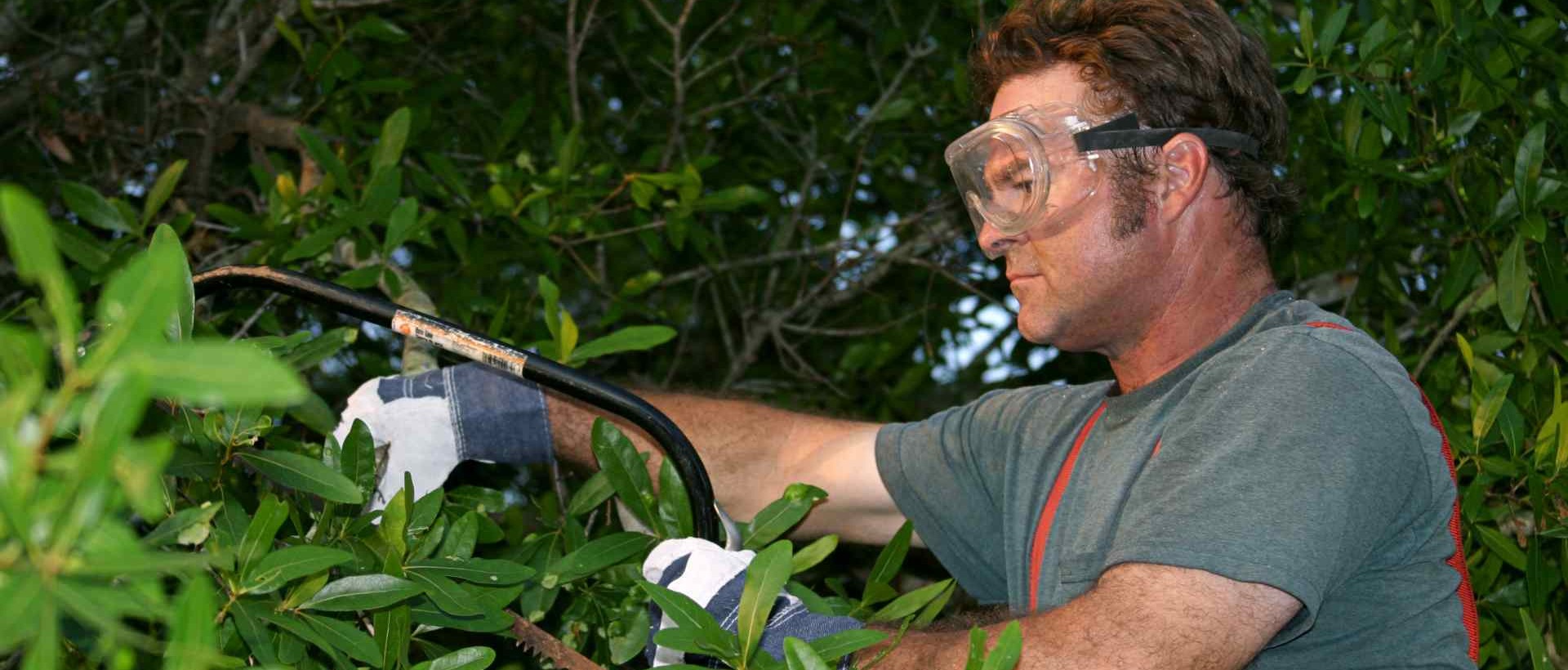 garden clearance EN5