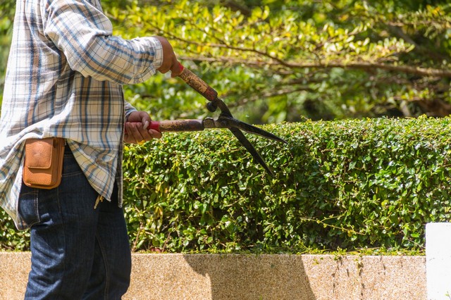 Garden Maintenance Barnet, High Barnet, Arkley, EN5